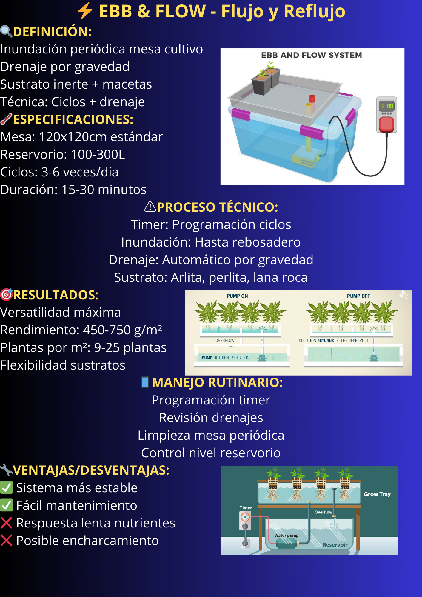 Sistema Hidropónico 4